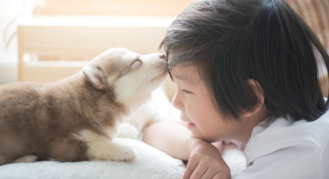 犬と子どもが仲良く過ごす方法！苦手な理由や同居のポイント・体験談も紹介